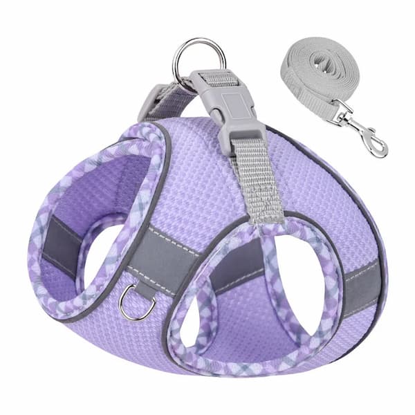 Purple dog harness with gray accents and a matching leash on a white background