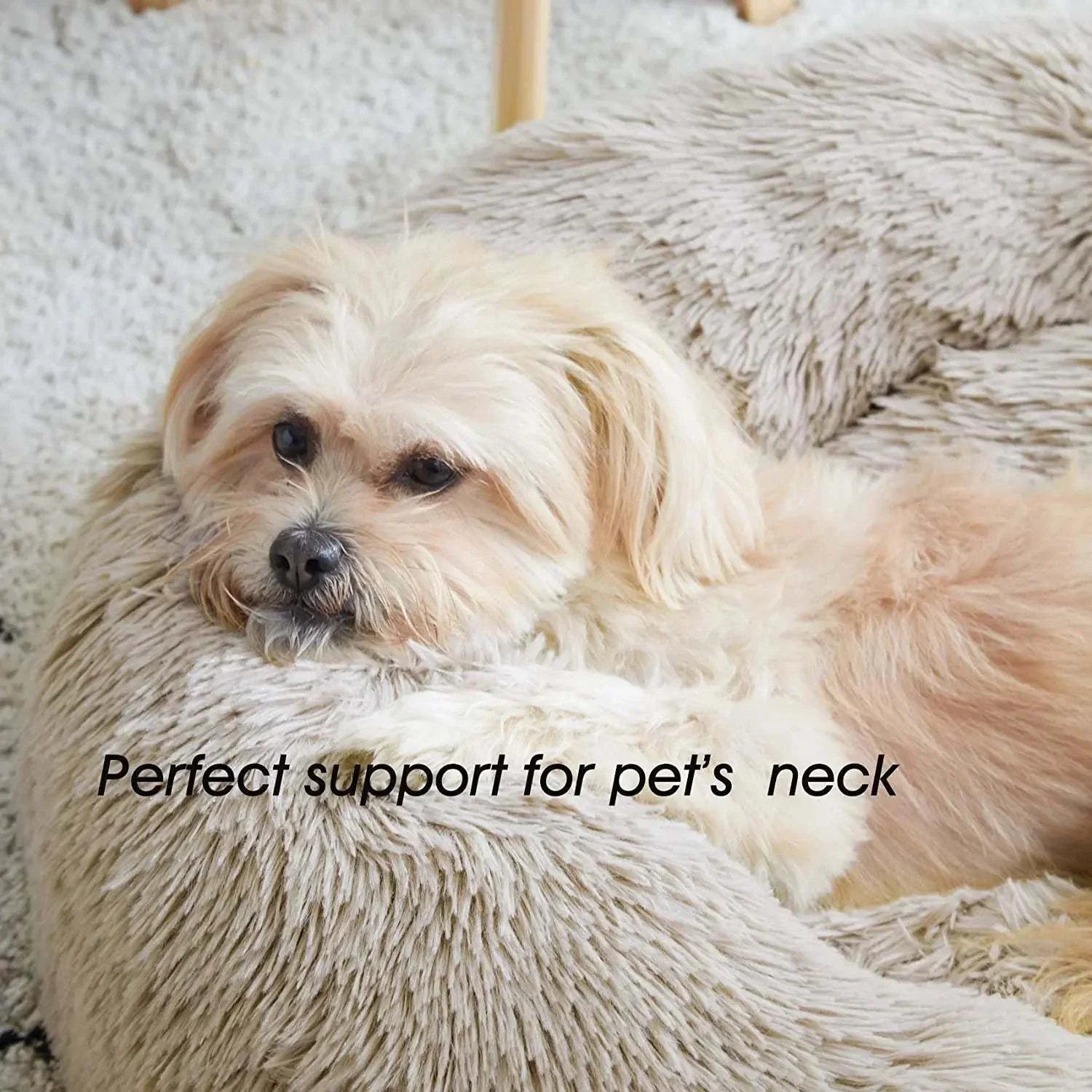 Luxurious plush pet nest for cats and small dogs in various sizes.