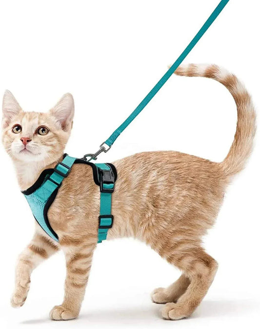 Escape-proof cat harness and leash set for walking.