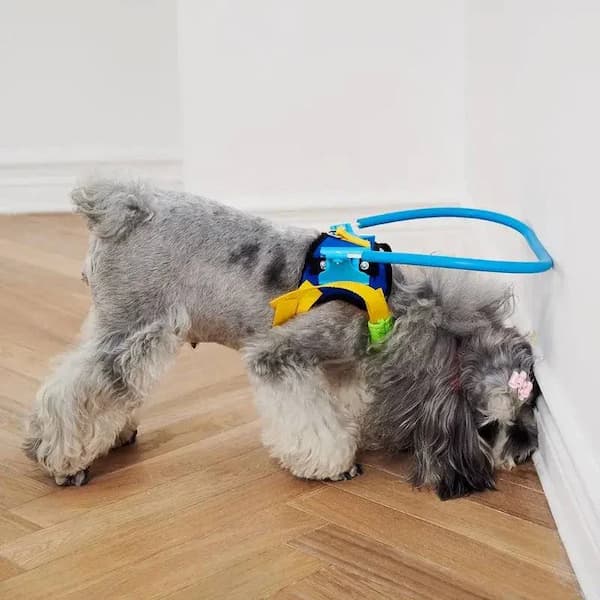 pet halo harness for navigation support