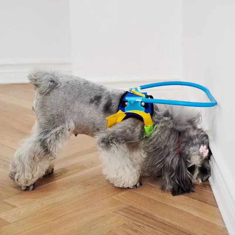 Blind pet Anti ¬ Collision Collar