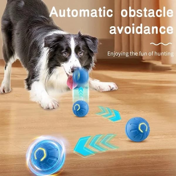 Interactive smart moving ball toy for dogs and cats USB rechargeable automatic pet toy for indoor play