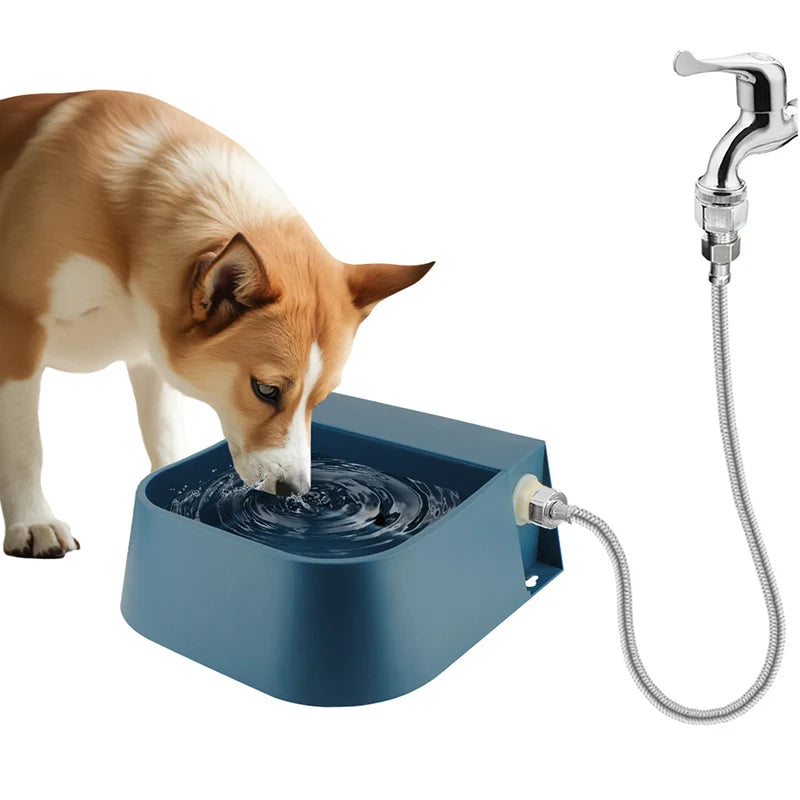 Automatic Outdoor Pet Water Dispenser with hose connection. Dog drinking from self-filling 2L water bowl. Ideal for summer hydration for dogs, cats, chickens, rabbits.

