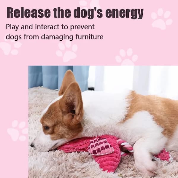 Dog playing with a pink toy on a pink background with text about releasing dog energy and preventing damage to furniture.