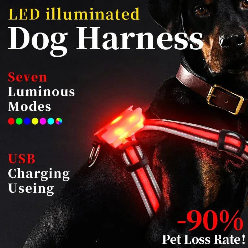 LED Dog Harness Pet Rechargeable Adjustable Flashing Waterproof Collar