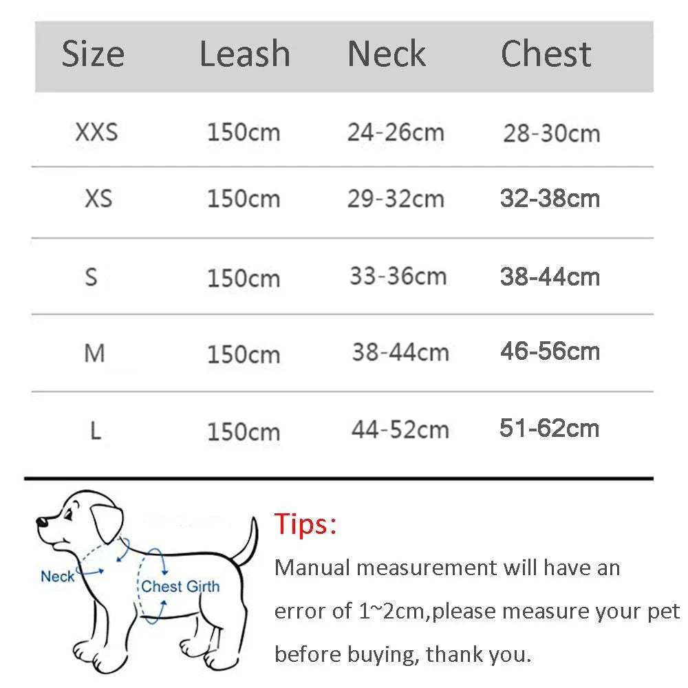 Small dog wearing an adjustable harness and leash set for outdoor walks. Stylish and secure pet vest harness for French Bulldogs, Chihuahuas, and Pugs.