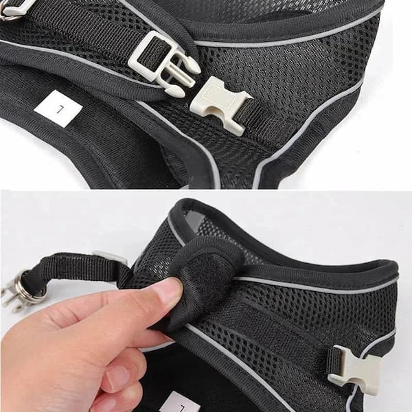 Black dog harness with adjustable straps on a white background