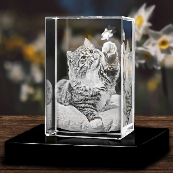 Personalized 3D Crystal Pet Memorial – Heartfelt Christmas Keepsake for Pet Lovers