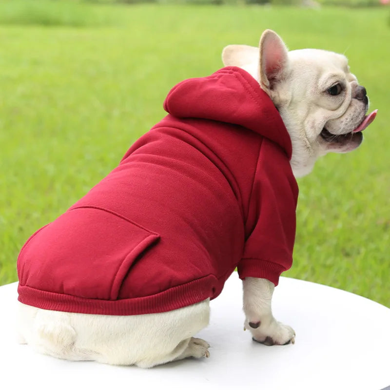Dog wearing a red hoodie with a green grass background