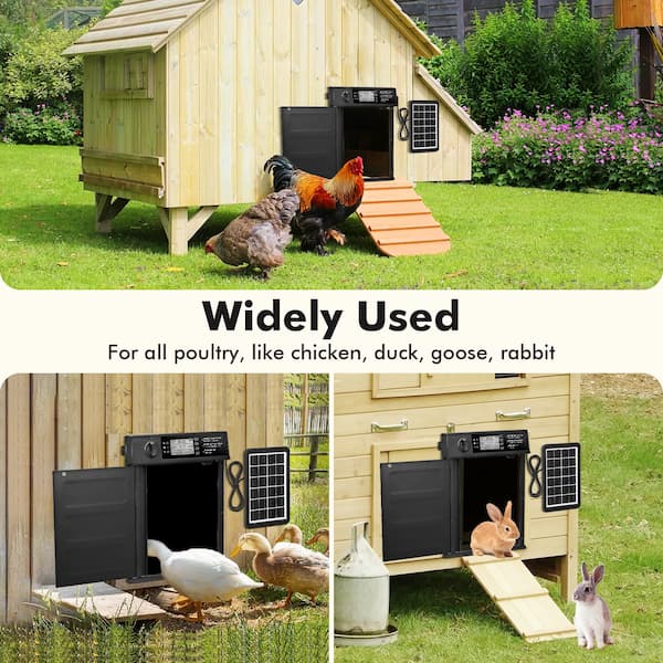 Wooden chicken coop with solar panels and animals inside, set against a green garden background.