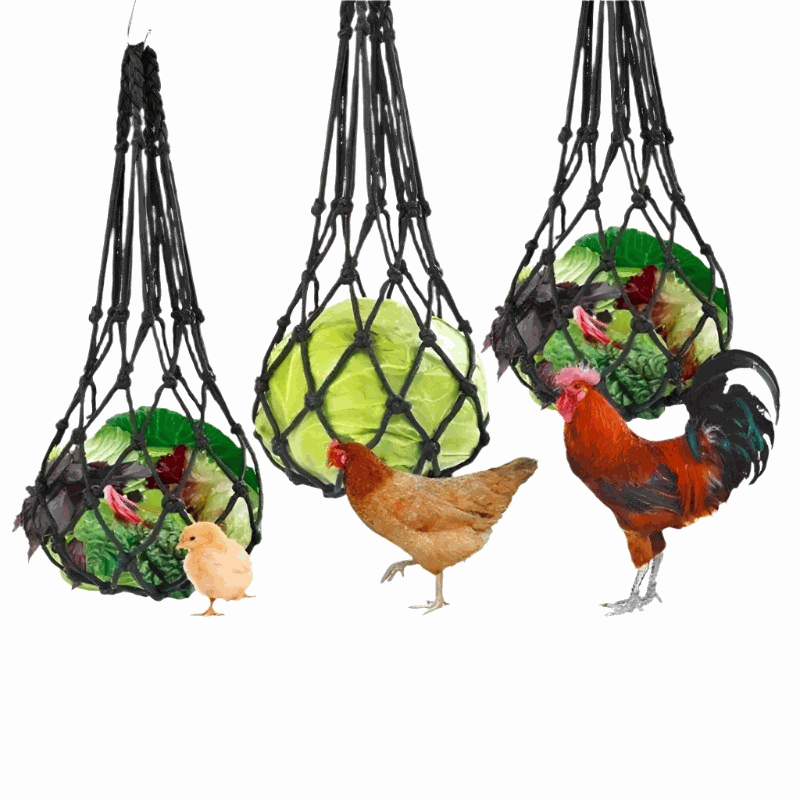 Chicken Vegetable Net Bag hanging feeder for hens, made of durable nylon rope and metal hook, designed for large birds.