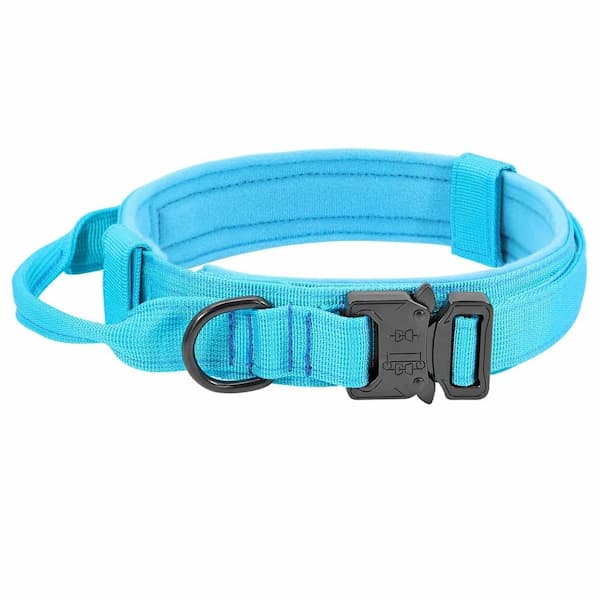 Blue dog tactical collar with a black buckle on a white background