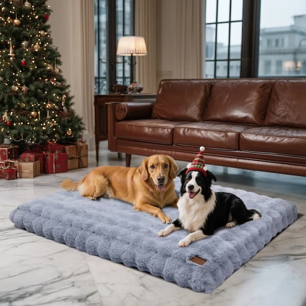 Two dogs relaxing on a plush orthopedic dog bed in a cozy Christmas living room with tree lights and gifts.”