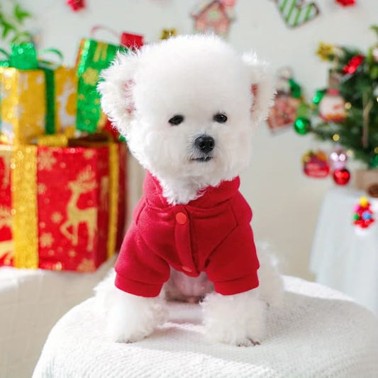 Small white dog wearing a red outfit sitting on a couch with Christmas decorations in the background.