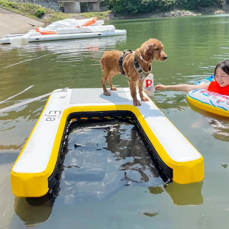 Dog Ramp Float