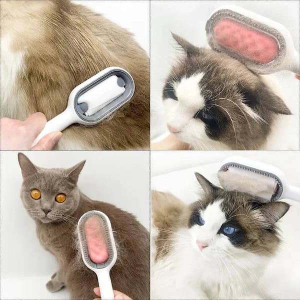 cat being groomed with pet brush water tank reducing shedding and loose fur