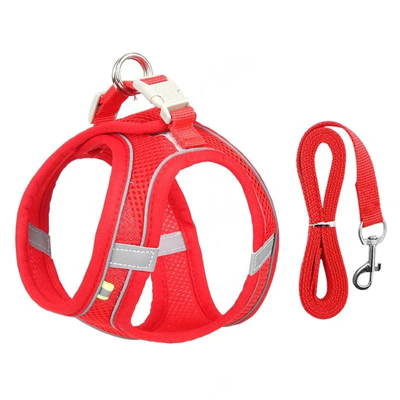 Small dog wearing an adjustable harness and leash set for outdoor walks. Stylish and secure pet vest harness for French Bulldogs, Chihuahuas, and Pugs.