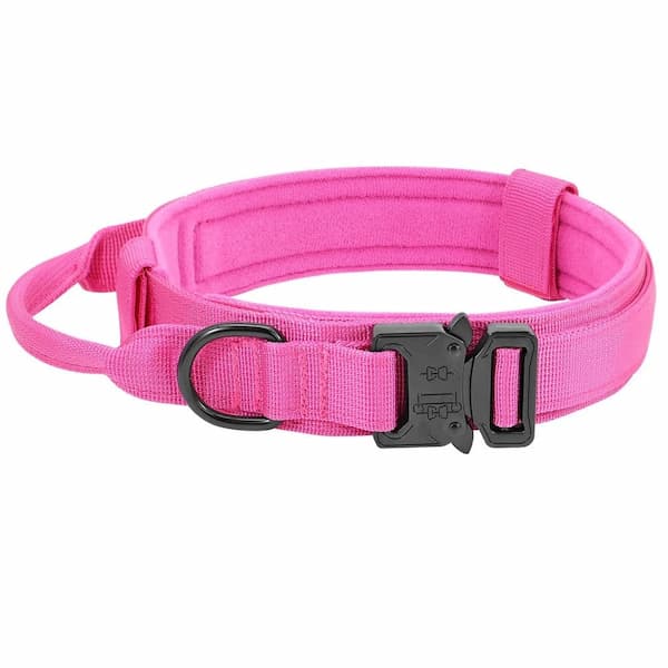 Pink dog tactical collar with a black buckle on a white background