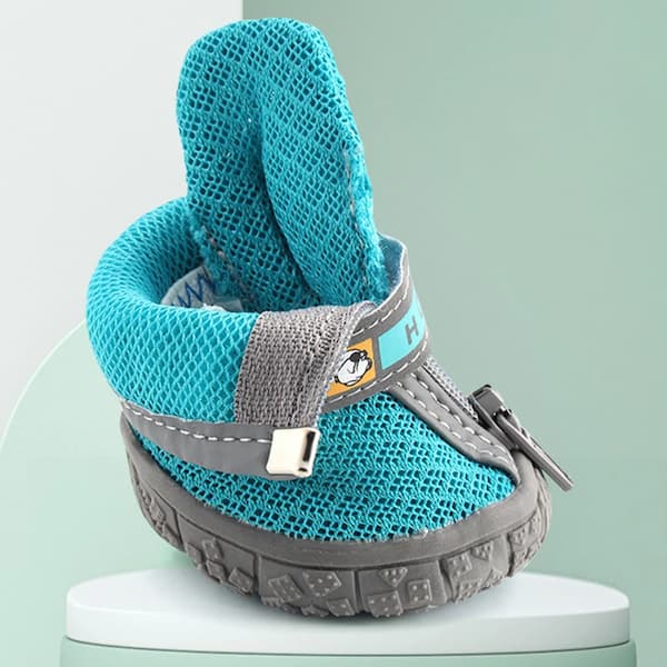 Blue and gray dog protective boots during   on a light green background.