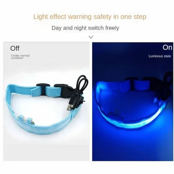 Colorful LED glowing pet collar designed for nighttime safety for dogs and cats