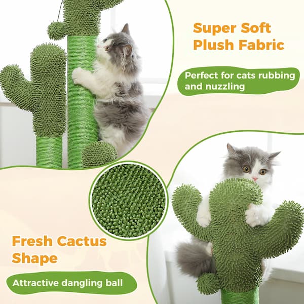 kitten playing on cactus cat scratcher indoor pet furniture