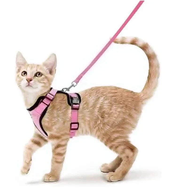 Stylish and practical cat harness for hiking or training