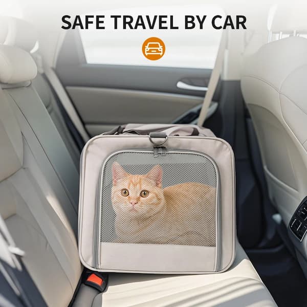 Pet carrier with a cat inside, placed on a car seat with 'Safe Travel by Car' text above.
