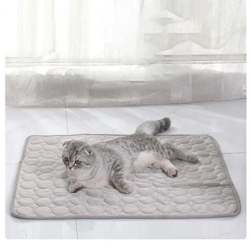 Summer Cooling Ice Silk Pet Mat