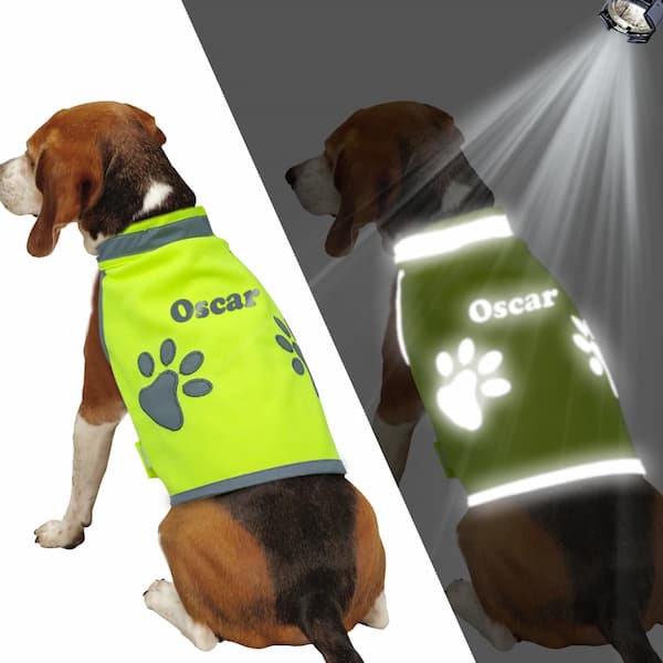 Dog wearing a reflective vest with 'Oscar' and paw prints, shown with and without light.