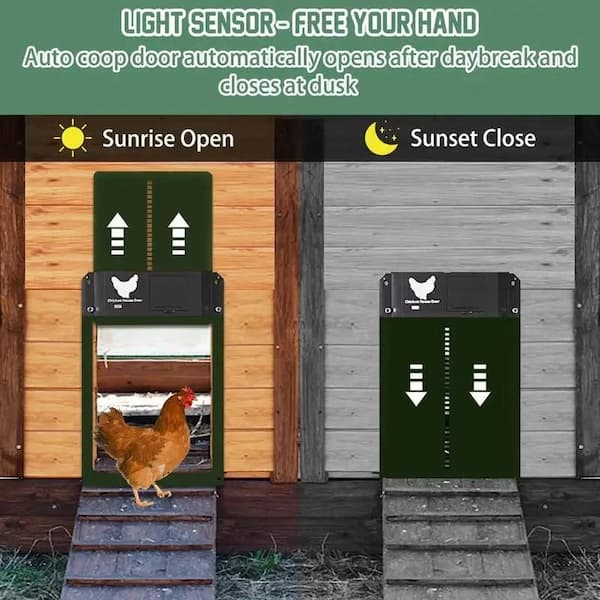 Automatic chicken coop door system with light sensor control, showing open and closed positions.