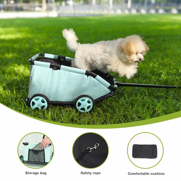 Small brown puppy sitting in a mint green lightweight 4-wheel pet stroller