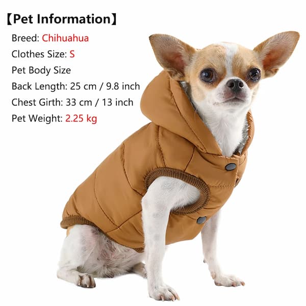 Chihuahua wearing a brown puffer jacket with pet information displayed.