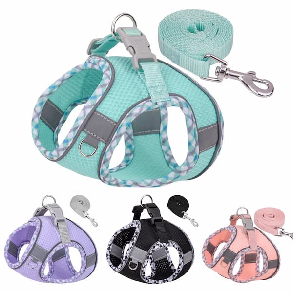 Set of dog harnesses and leashes in various colors on a white background