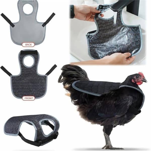 chicken saddle for hens feather protection anti pecking apron poultry back protector breathable hen jacket