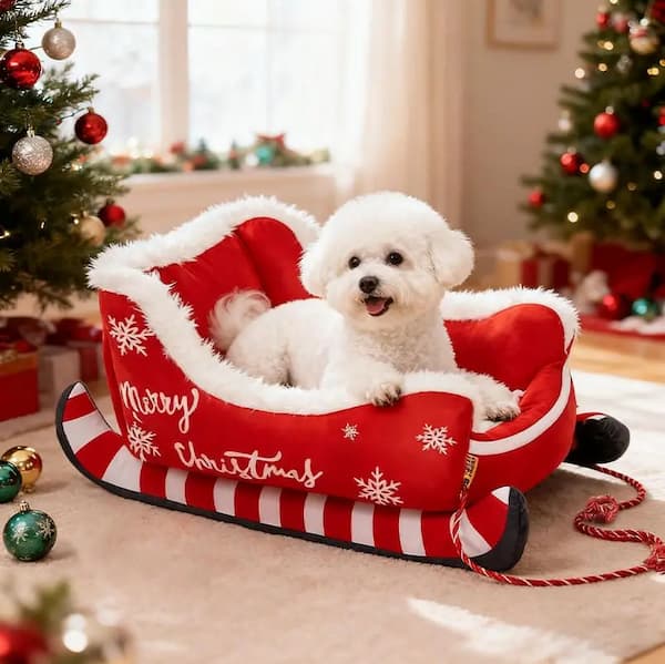 Small white dog in a red 'Merry Christmas' dog sled with decorated trees in the background.