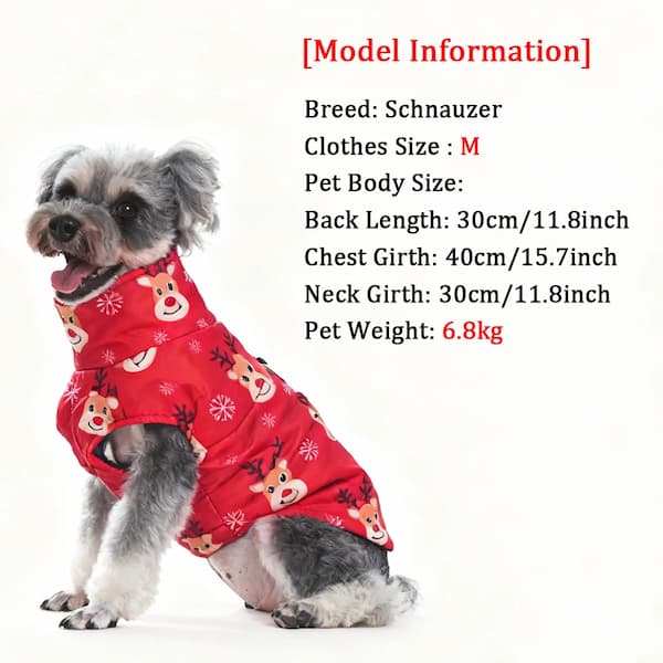 Dog wearing a red outfit with reindeer patterns, standing on a white background.