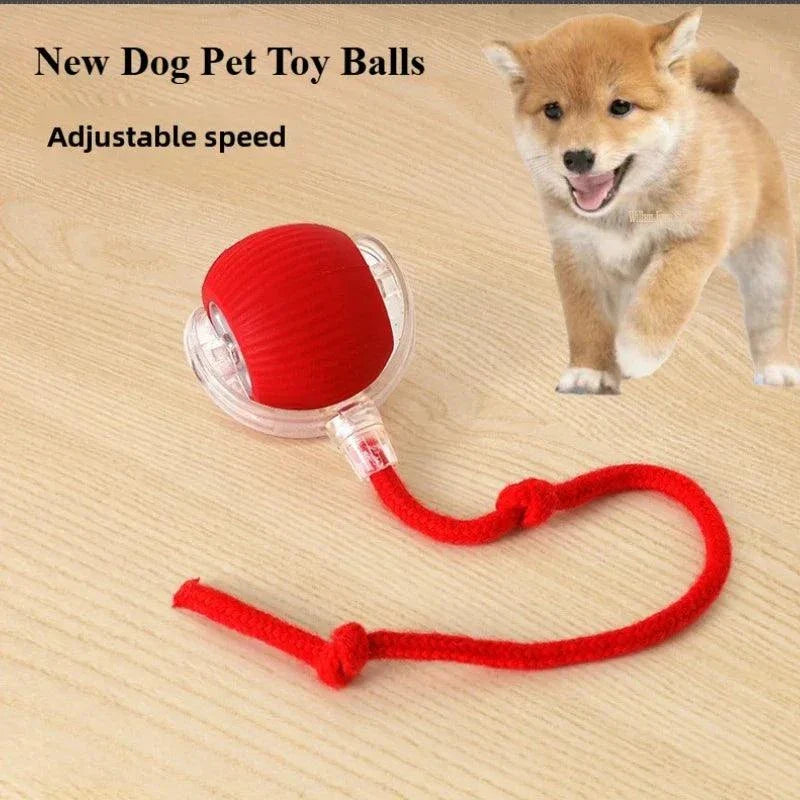 Rechargeable Smart Pet Interactive Rolling Ball Toy for Cats & Dogs