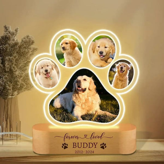 Custom pet photo night light in acrylic with 7-color LED, personalised with dog or cat picture and name – memorial keepsake and gift.