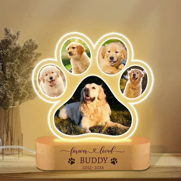 Custom pet photo night light in acrylic with 7-color LED, personalised with dog or cat picture and name – memorial keepsake and gift.
