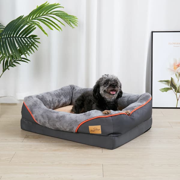 Dog lying on a gray pet bed with orange accents in a room with a plant and framed picture.