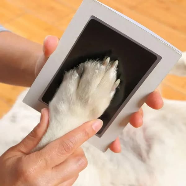 Dog paw print keepsake created with an inkless clean touch impression kit for pet memories and memorial keepsakes