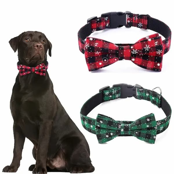 Dog wearing a red and black checkered bow tie collar with two additional collars displayed below.