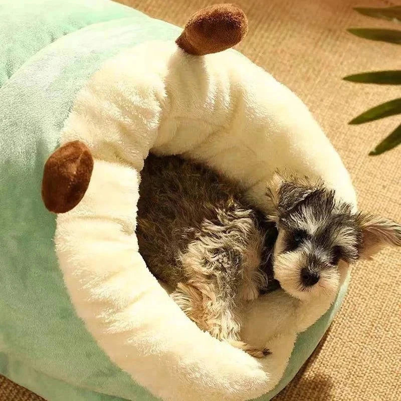 Small dog snuggled in MADDEN warm slipper-shaped pet bed, soft and cozy in plush material.