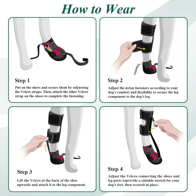 Step-by-step guide on how to wear dog leg wraps with illustrations and text.