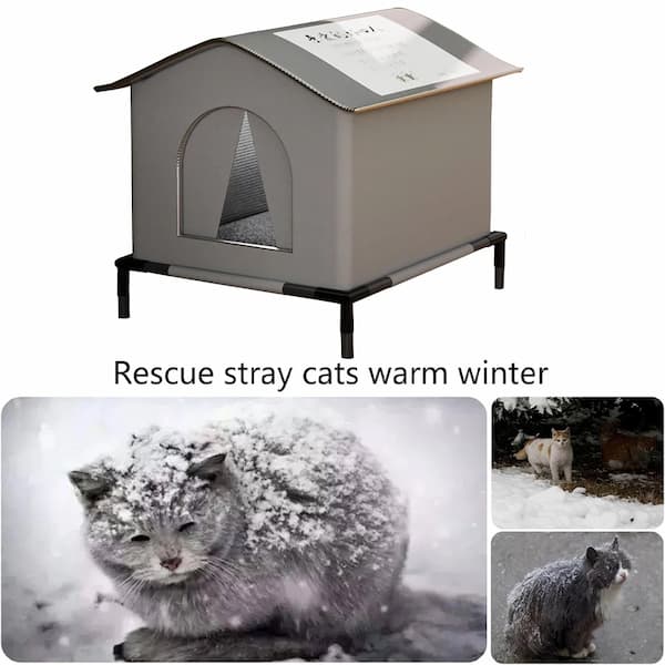 Outdoor winter cat shelter at night with a warm glowing interior, featuring two stray cats beside a waterproof insulated house on a raised base.