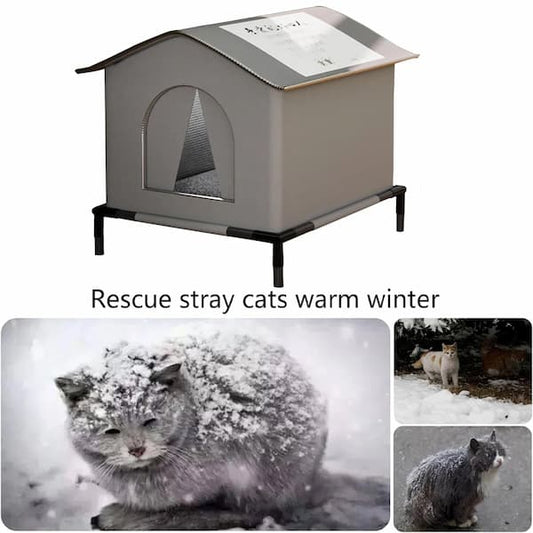 Outdoor winter cat shelter at night with a warm glowing interior, featuring two stray cats beside a waterproof insulated house on a raised base.