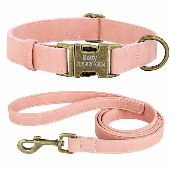 Personalized dog collar & leash set with engraved buckle in pink