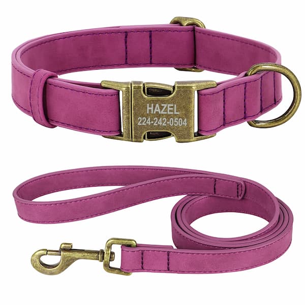 Durable personalized collar and leash set for small & large dogs