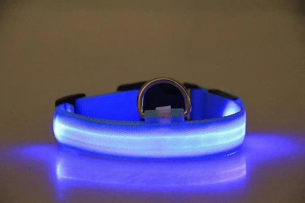 Colorful LED glowing pet collar designed for nighttime safety for dogs and cats