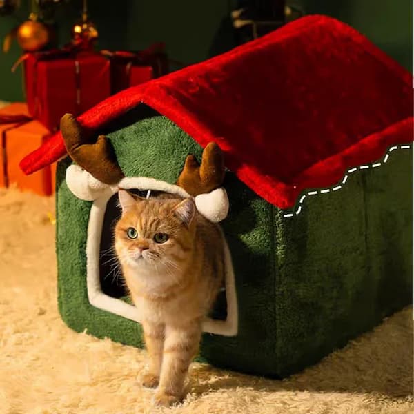 Cat wearing reindeer antlers standing in front of a green and red pet house.